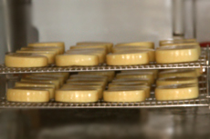 Fresh produced cheese at Alpe Rona