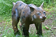 Luchs als Zielscheibe