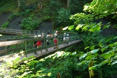 Bürserschlucht