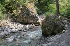 Bürserschlucht