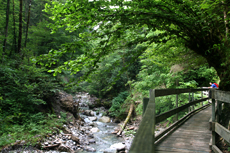 Bürserschlucht