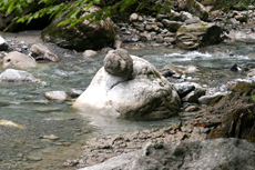 Bürserschlucht