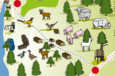 Animal experience path