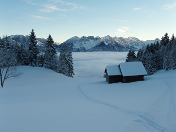 Fresh snow up here, fog in the valley