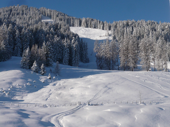 Skiing in deep snow or on well prepared slopes is possibel