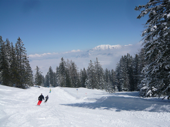 Skiing for beginners and advanced skiers