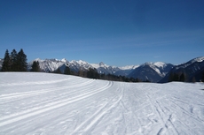 click here for more information about cross-country-skiing