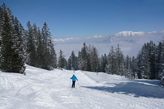 skiers on the slope