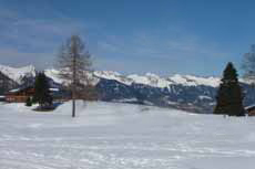 view in direction Walsertal